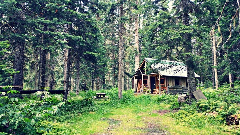 Nhà cabin